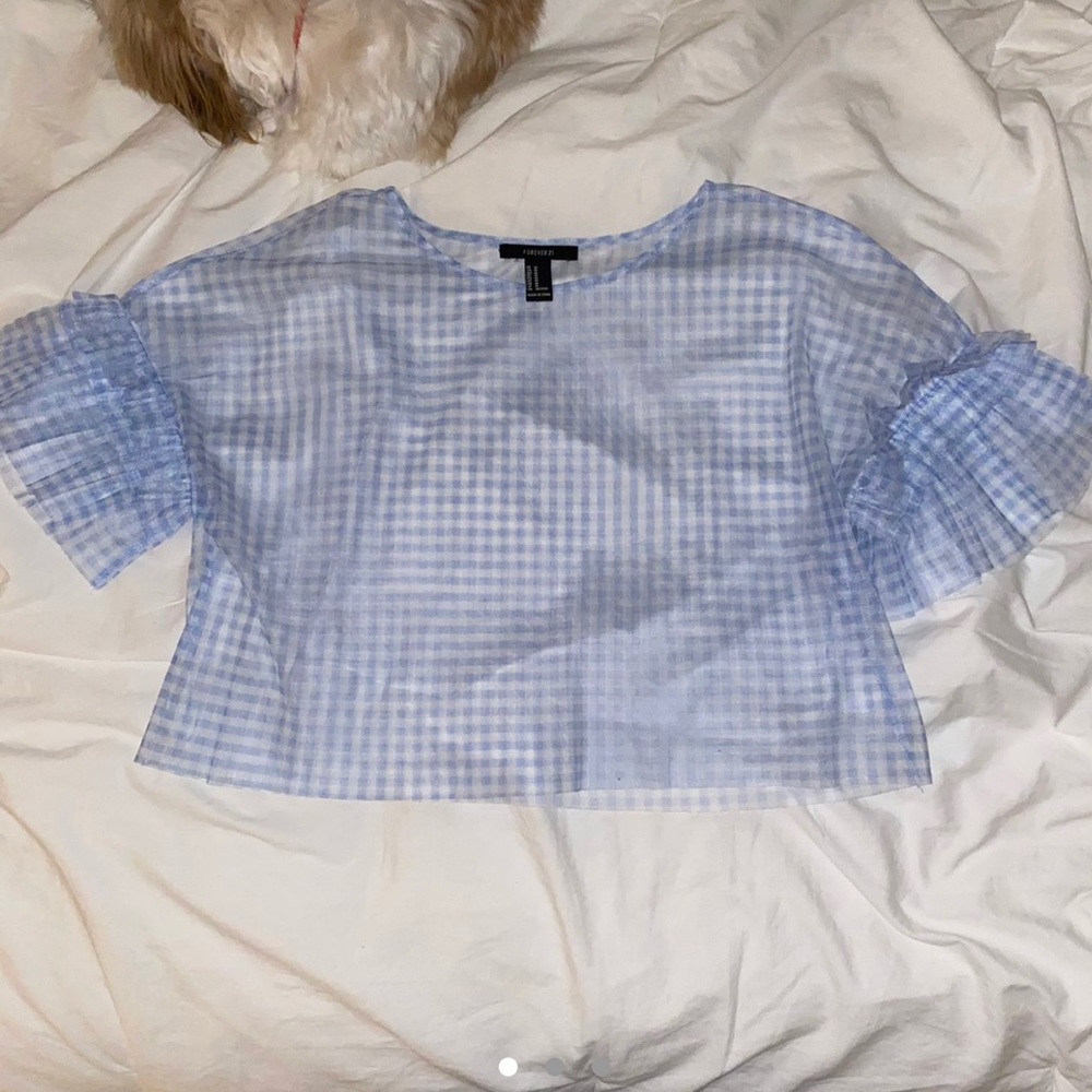 Forever 21 white and blue gingham sheer top